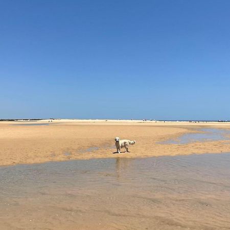 Dona Maria 66 Villa Praia Da Luz ภายนอก รูปภาพ