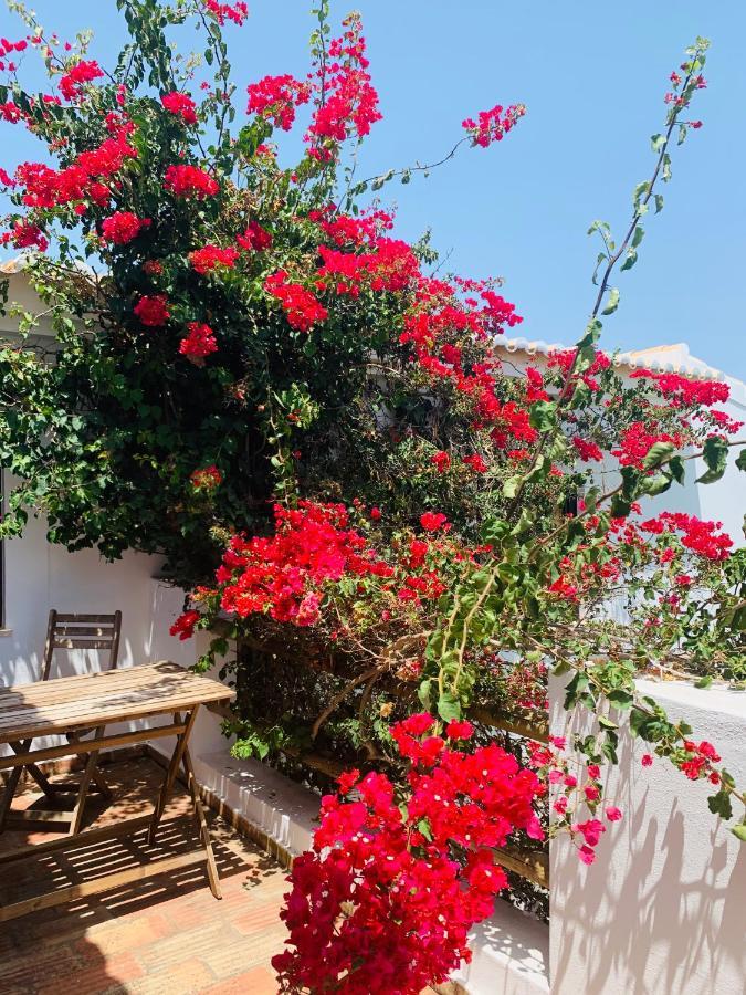 Dona Maria 66 Villa Praia Da Luz ภายนอก รูปภาพ