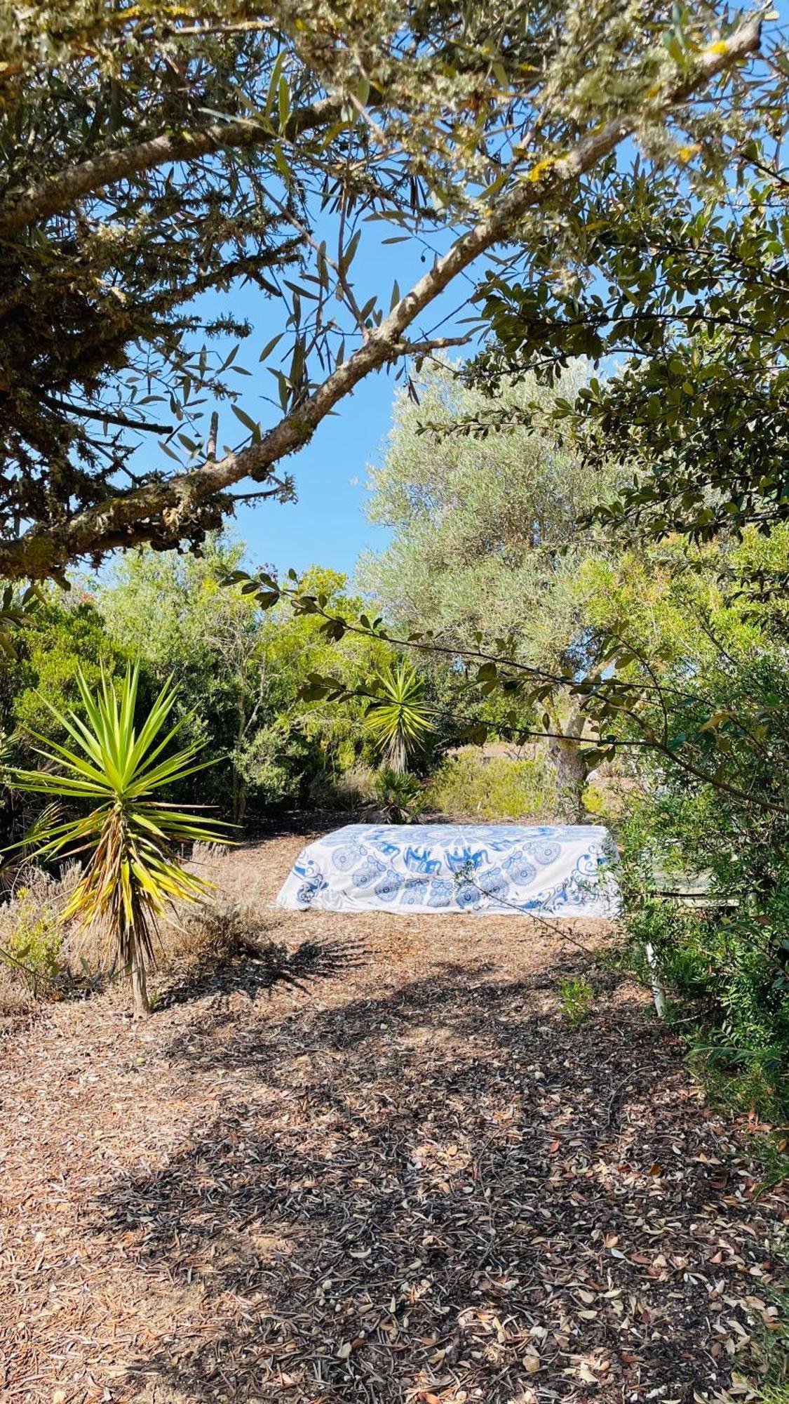 Dona Maria 66 Villa Praia Da Luz ภายนอก รูปภาพ
